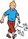 tintin